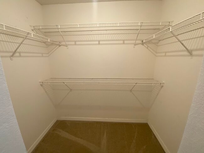 Building Photo - 9732 Water Fern Cir