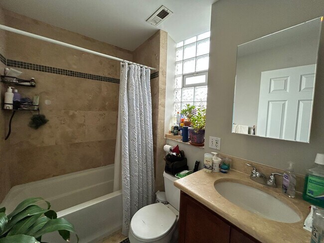 Building Photo - Beautiful 1 Bed / 1 Bath Apartment Available July 1st in Rogers Park!
