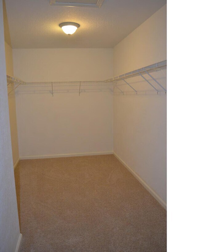 Building Photo - 1019 Big Torch St