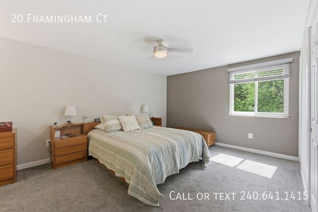 Building Photo - 20 Framingham Ct