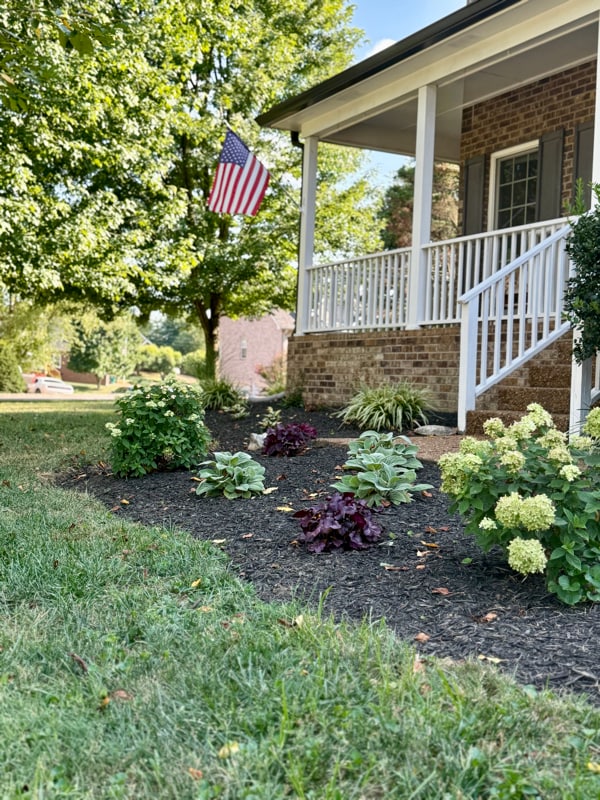 Building Photo - 2849 Pedigo Pl