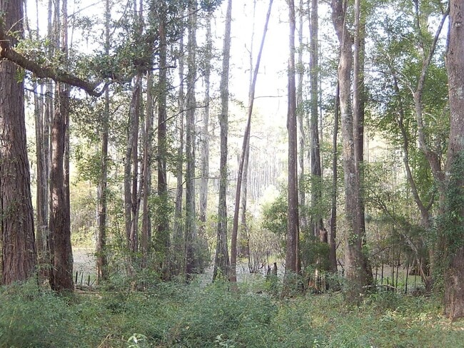 Building Photo - 4724 Cobblestone Ln