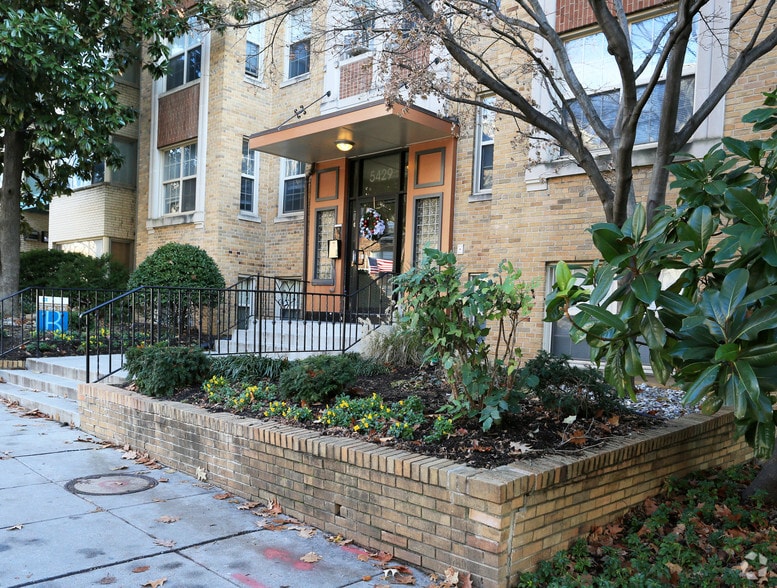 Primary Photo - The Roberta