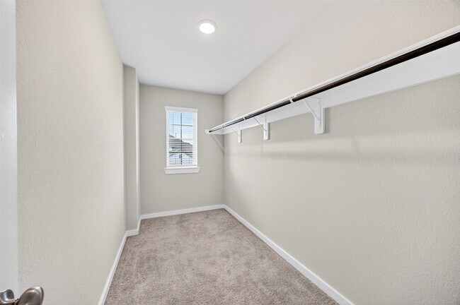 Building Photo - 21619 Coral Mist Dr