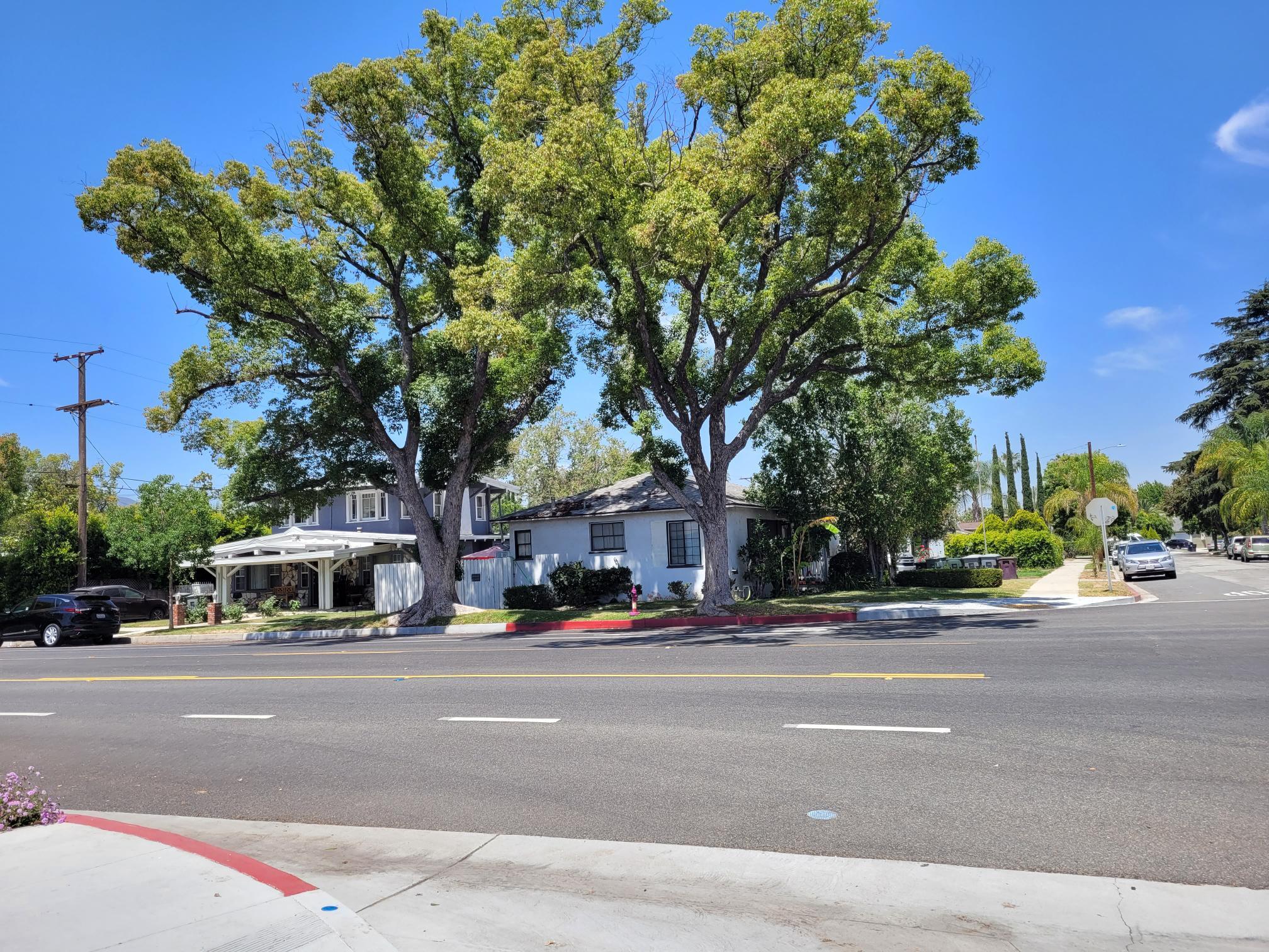 Patterson & Highland corner lot - 900 Patterson Ave