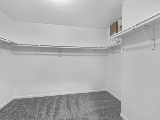 Building Photo - 6730 Crescent Creek Ln