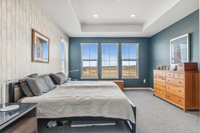Building Photo - Stunning 4 Bedroom/ 3 Bath Home in Sterling Ranch