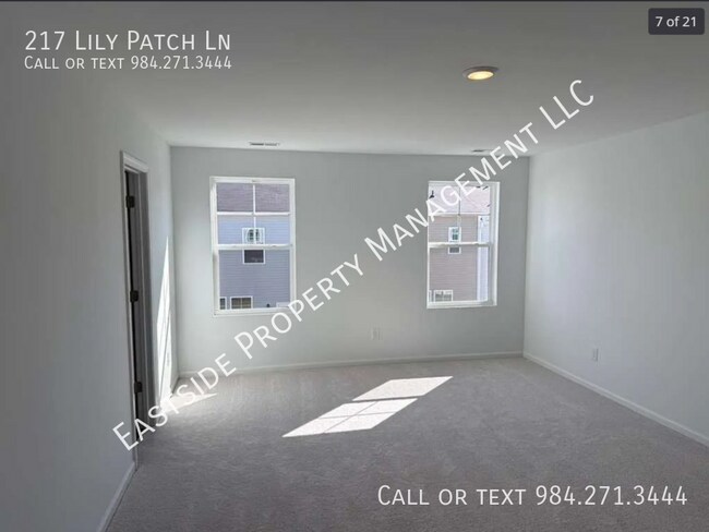 Building Photo - 217 Lily Patch Ln