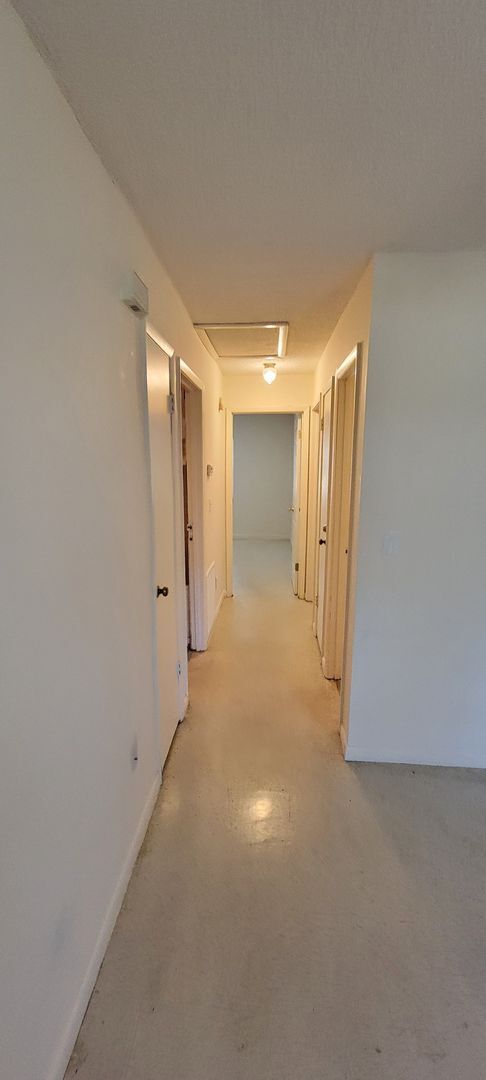 Building Photo - Williams St Triplex