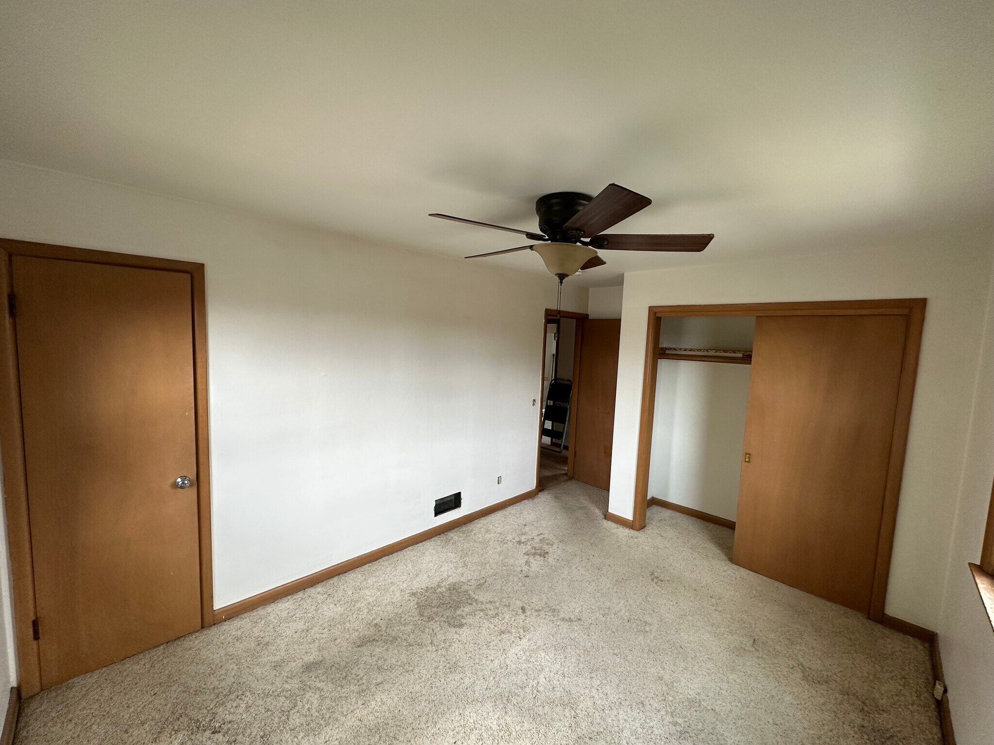 Building Photo - 3503 Albert Ct