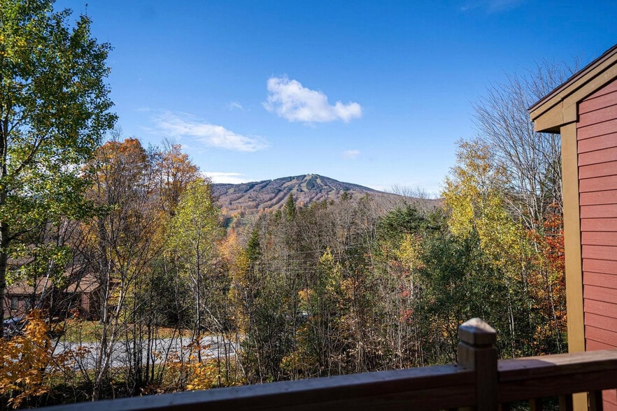 Building Photo - 136 Black Pine