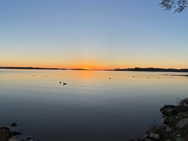 Building Photo - 217 Brendalwood Blvd