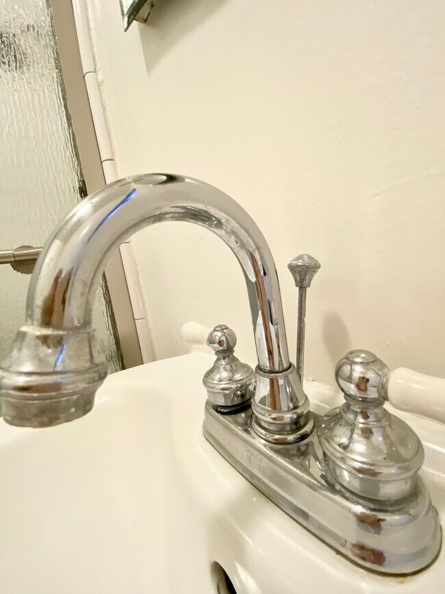 Bath Faucet - 1935 1/2 Palmerston Pl