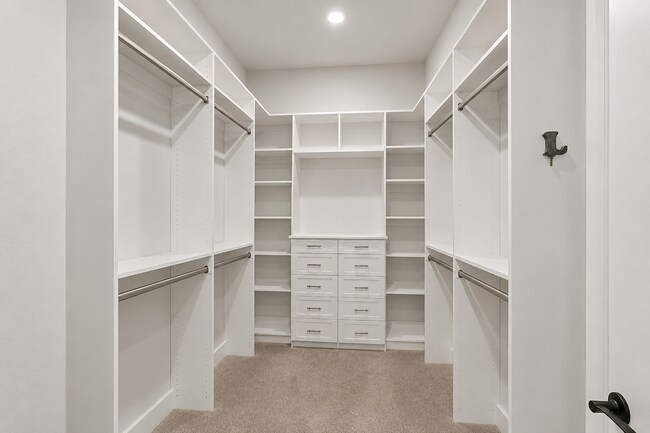 Building Photo - 19 Bolsana Ct