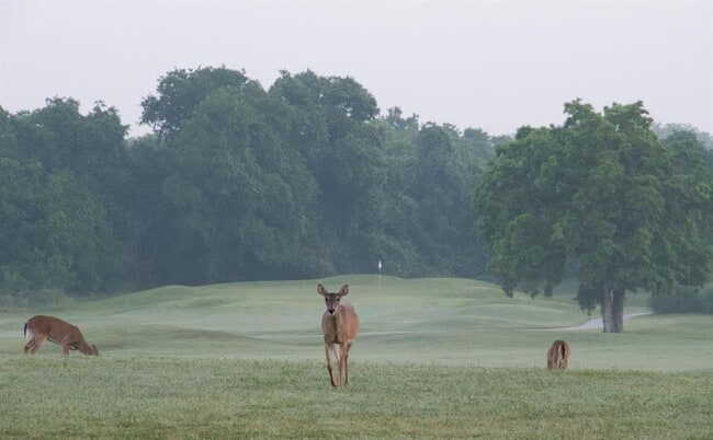 Building Photo - 1101 Grove Blvd