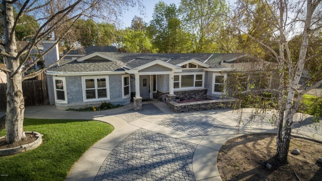 Primary Photo - Calle Violeta