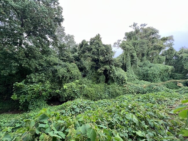 Building Photo - 209 Unicorn Pl