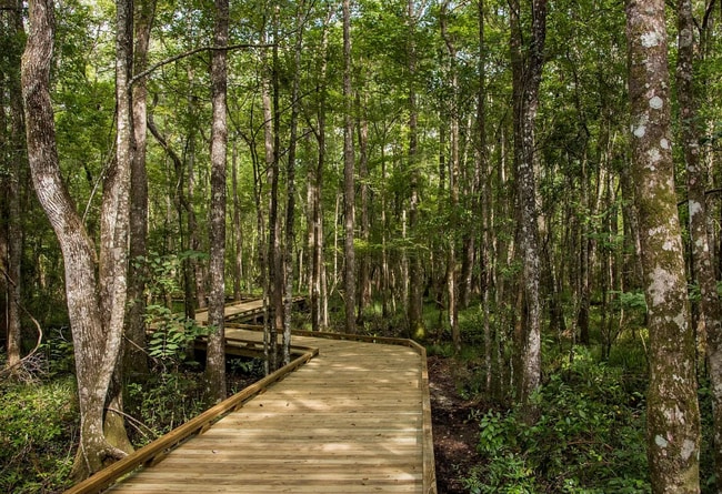 Building Photo - Brand-New Town Home in Shearwater with Resort-Style Amenities