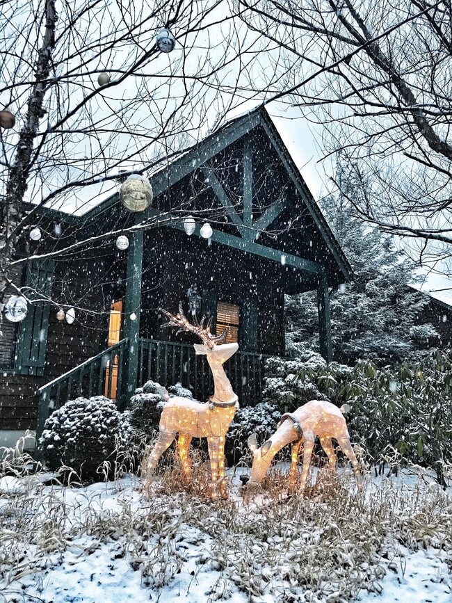 Building Photo - 103 Clary Ct