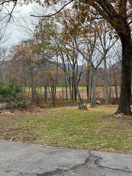 Back Yard - 4387 NY-32