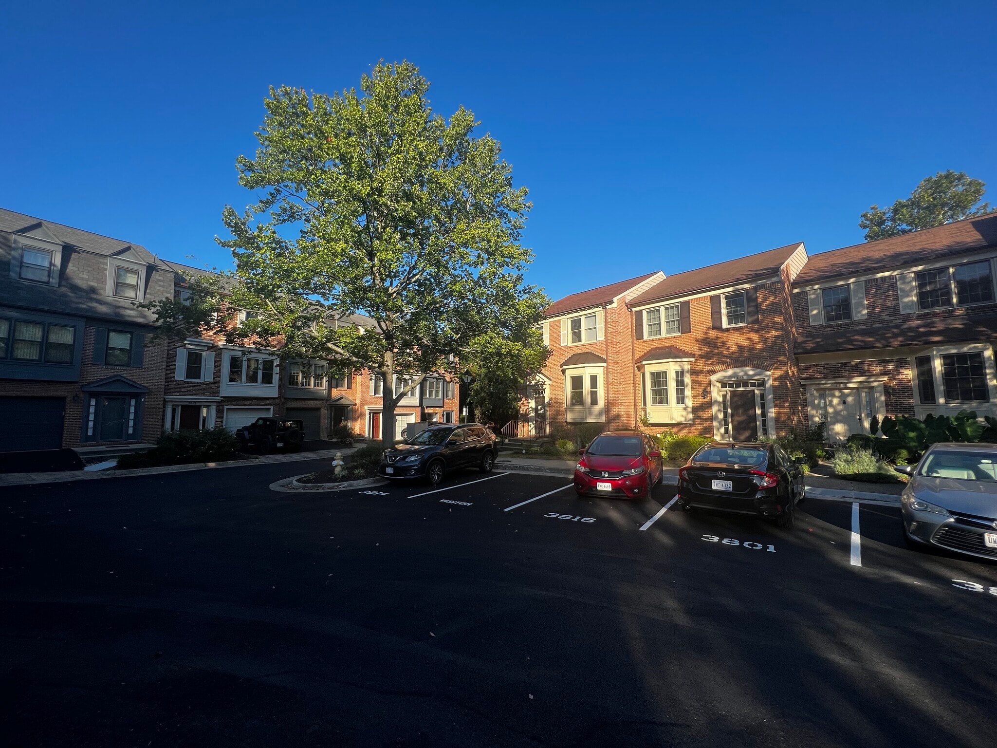 1 Reserved Parking Spot + Ample Free Street Parking - 3814 Usher Ct