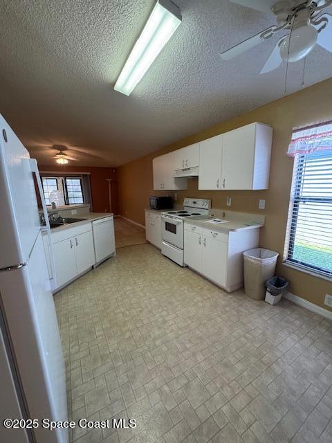 Building Photo - 4240 Swanna Dr