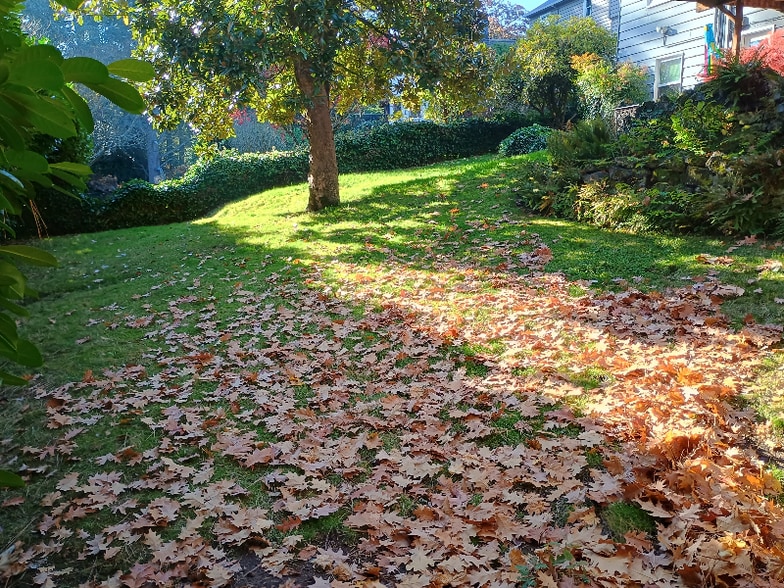 Building Photo - 6470 SW Burlingame Pl