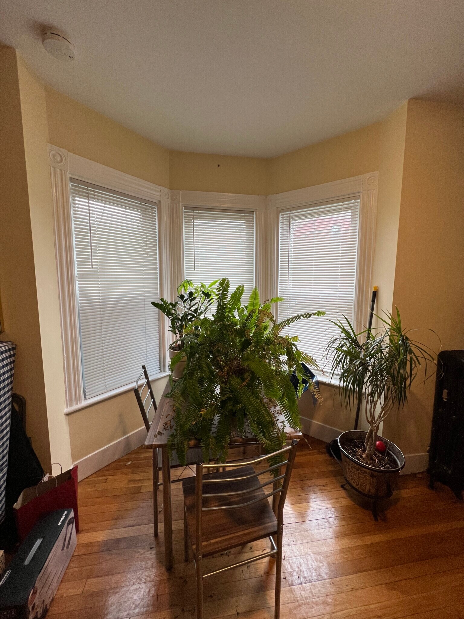 Building Photo - 15 Blake St