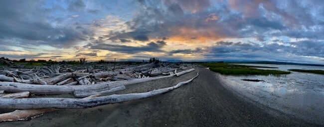 Building Photo - Beach House, Fully Furnished, Short Term January-March (includes all utilities and internet)