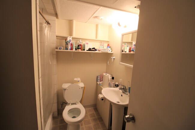 Lower level bath - 2300 Ives Ln N