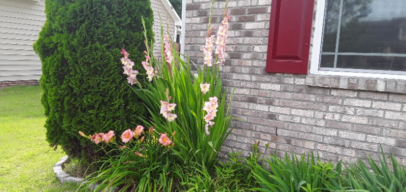 Building Photo - 5833 Kindley Dr