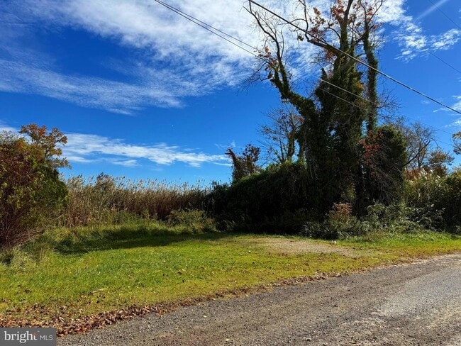 Building Photo - 37 Beaver Ave