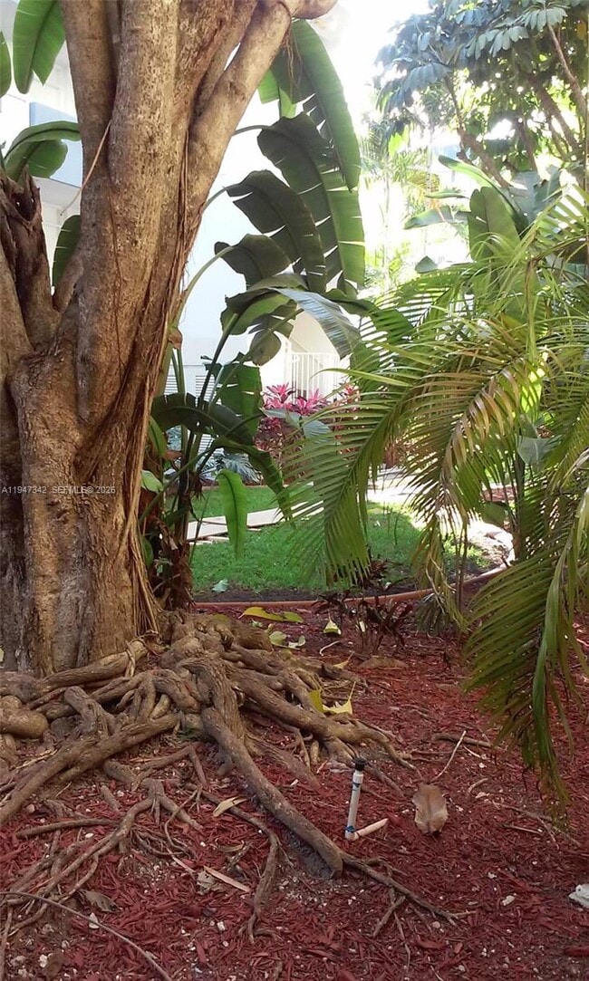 Building Photo - 1801 S Treasure Dr