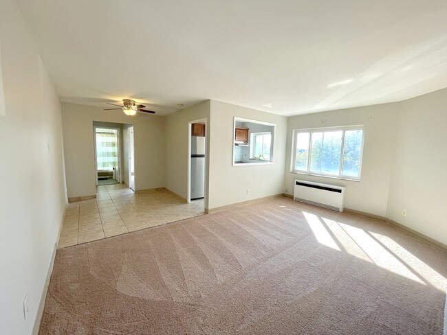 Savoy Living Room - Savoy Apartments