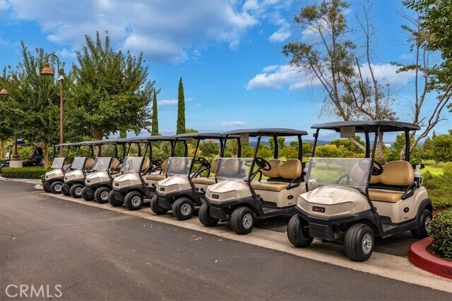 Building Photo - 214 Avenida Majorca