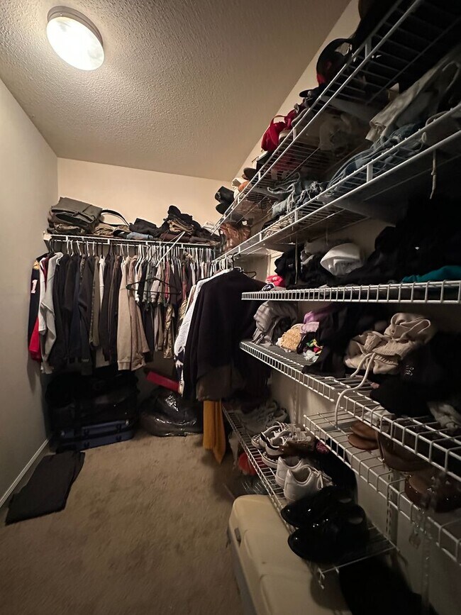 Building Photo - 101 Spain Dr