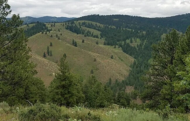 Building Photo - Cozy 1-Bed Cabin on 30 Private Acres – Incredible Views & Outdoor Access