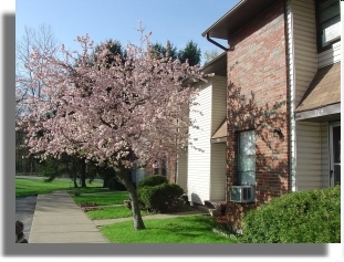 Building Photo - Woodland Hills Townhomes