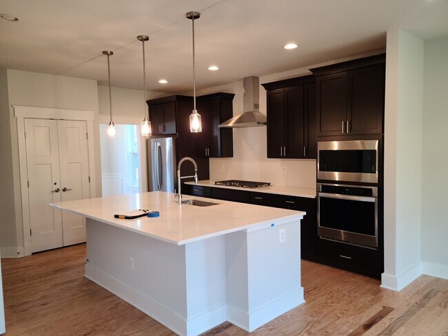 Kitchen and pantry closet - 1310 Cougar Ln