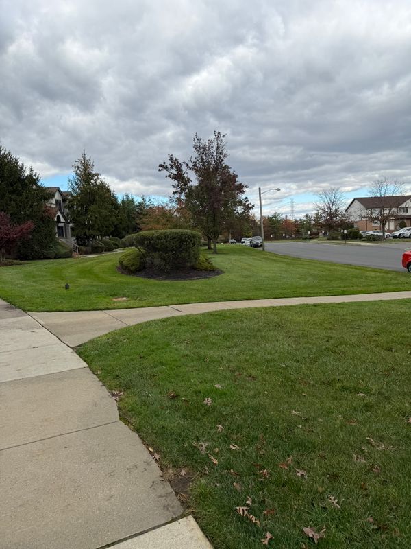 Building Photo - 4706 Boice Dr