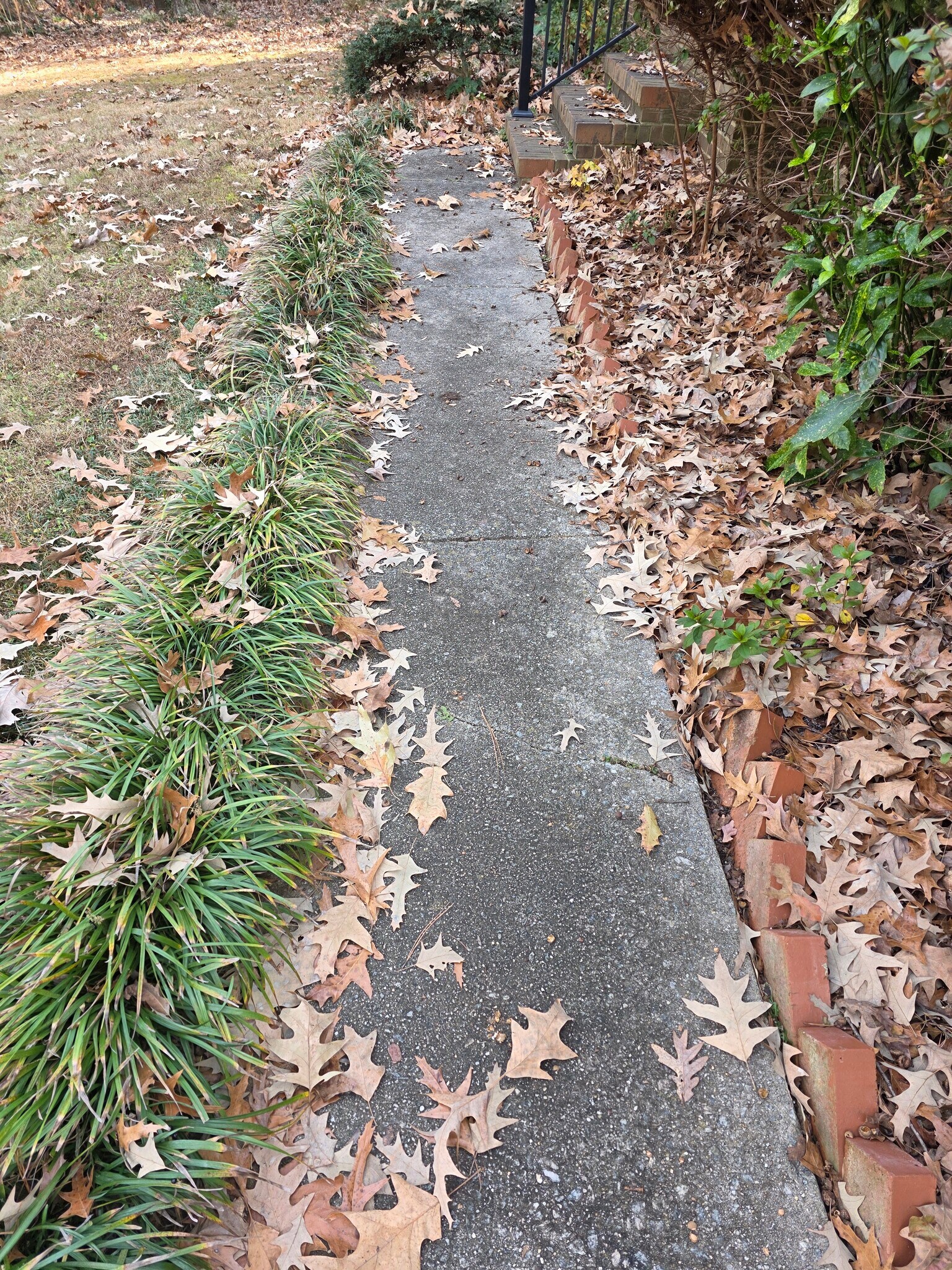 Building Photo - 105 Castle Manor Ct