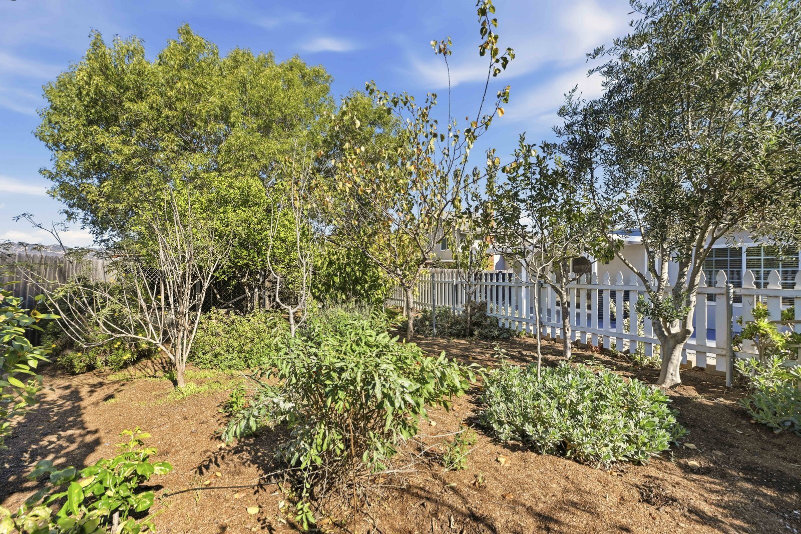 Building Photo - 362 Via Los Arcos