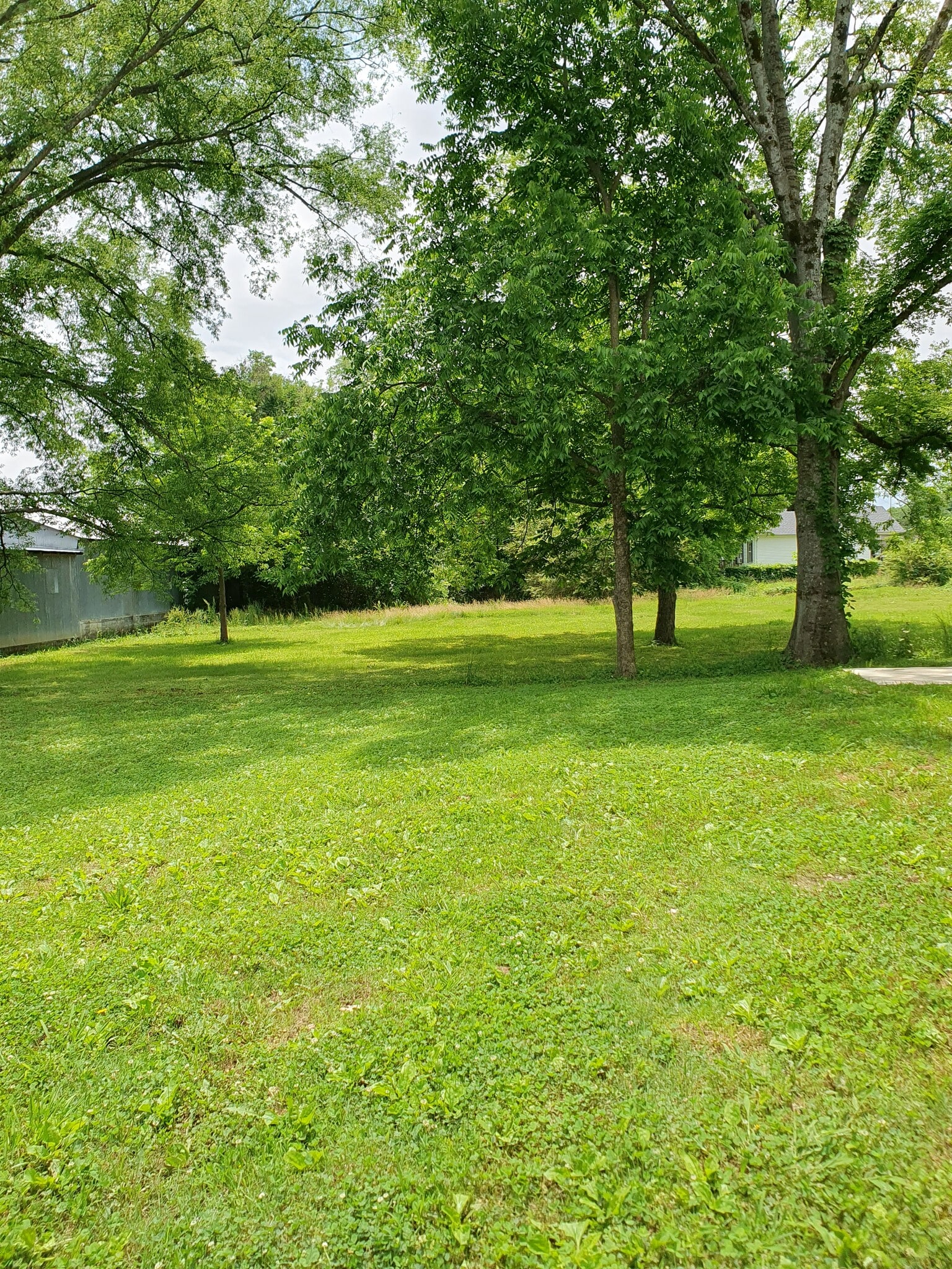 Building Photo - 406 Hedgemont Ave