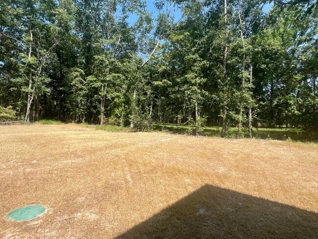 Building Photo - Beautifully Done & Brand New 4BD/2.5 Home in Jones Co.