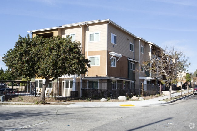 Primary Photo - Walnut Street Apartments