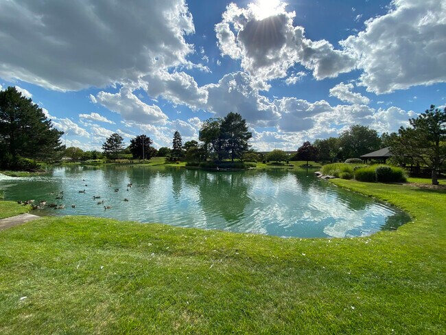 Recreation Area - 6148 Willow Creek Dr