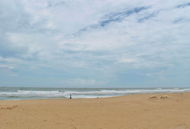Building Photo - 3-Bedroom Condo 1/2 Mile from Oceanfront! Stainless Steel Appliances - Granite Counter Tops - All...