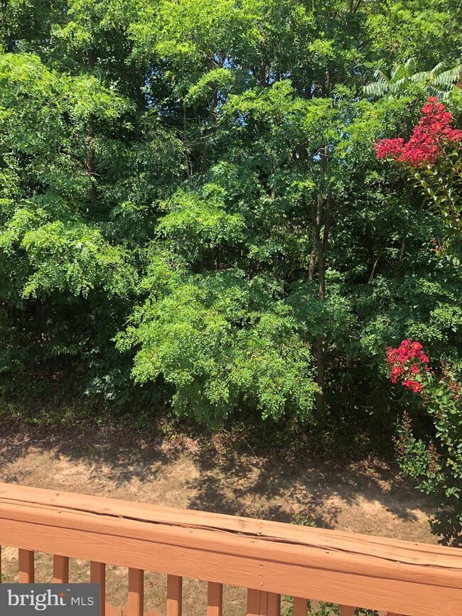 Building Photo - 111 Sand Dollar Cove