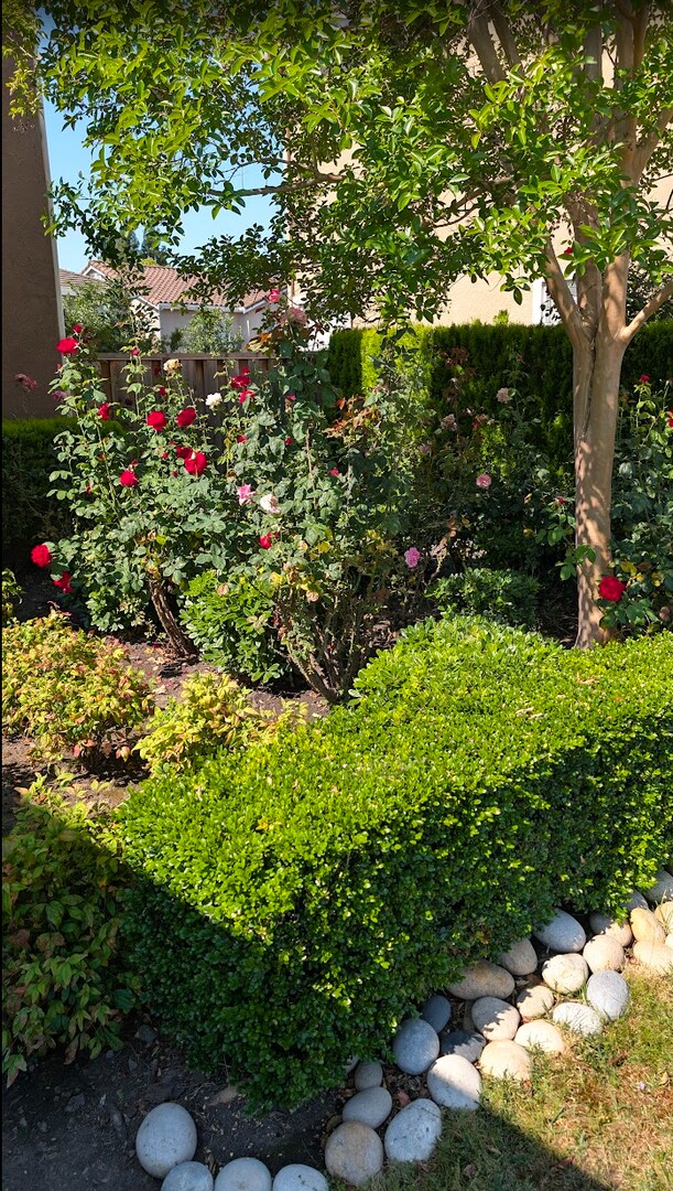 Building Photo - 4-Bedroom Danville Home in Quiet Cul-De-Sac | Prime Tassajara Location Top Schools