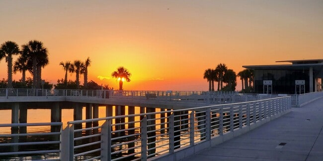 Building Photo - FURNISHED LUXURY 3 Br 3 Ba RENTAL NEAR DOWNTOWN ST PETERSBURG, FL